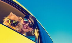 Autogummimatten für Autofahrer und ihre Hunde