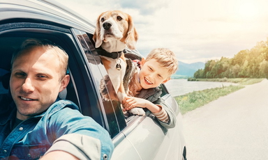 Passgenaue Autofußmatten für Hundebesitzer