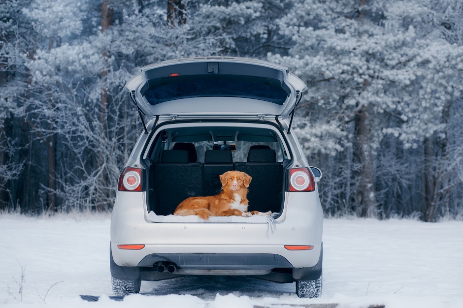 autofußmatten im winter
